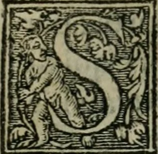 An illustration from Aresta amorum, accuratissimis Benedicti Curtii Symphoriani commentarius ad utriusque juris rationem, forensiumque actionum usum, quam acutissime accommodata, 1546, leaf 368