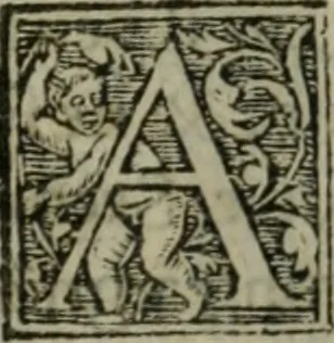 An illustration from Aresta amorum, accuratissimis Benedicti Curtii Symphoriani commentarius ad utriusque juris rationem, forensiumque actionum usum, quam acutissime accommodata, 1546, leaf 374