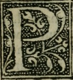 An illustration from Aresta amorum, accuratissimis Benedicti Curtii Symphoriani commentarius ad utriusque juris rationem, forensiumque actionum usum, quam acutissime accommodata, 1546, leaf 38