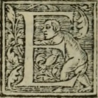 An illustration from Aresta amorum, accuratissimis Benedicti Curtii Symphoriani commentarius ad utriusque juris rationem, forensiumque actionum usum, quam acutissime accommodata, 1546, leaf 382