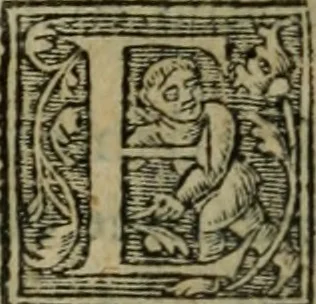 An illustration from Aresta amorum, accuratissimis Benedicti Curtii Symphoriani commentarius ad utriusque juris rationem, forensiumque actionum usum, quam acutissime accommodata, 1546, leaf 394