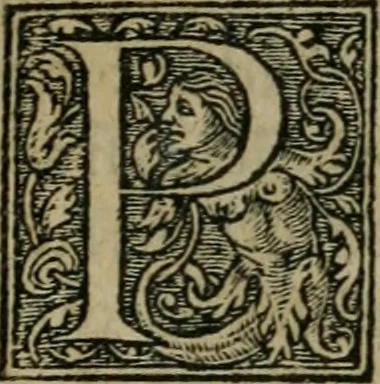 An illustration from Aresta amorum, accuratissimis Benedicti Curtii Symphoriani commentarius ad utriusque juris rationem, forensiumque actionum usum, quam acutissime accommodata, 1546, leaf 408