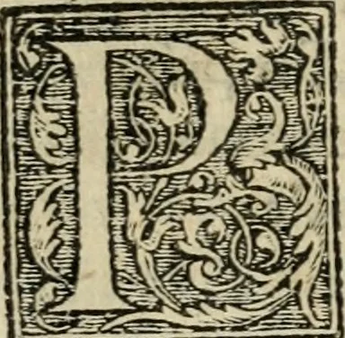 An illustration from Aresta amorum, accuratissimis Benedicti Curtii Symphoriani commentarius ad utriusque juris rationem, forensiumque actionum usum, quam acutissime accommodata, 1546, leaf 425