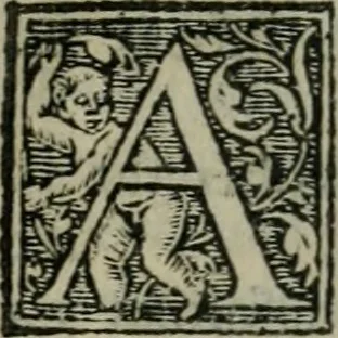 An illustration from Aresta amorum, accuratissimis Benedicti Curtii Symphoriani commentarius ad utriusque juris rationem, forensiumque actionum usum, quam acutissime accommodata, 1546, leaf 434