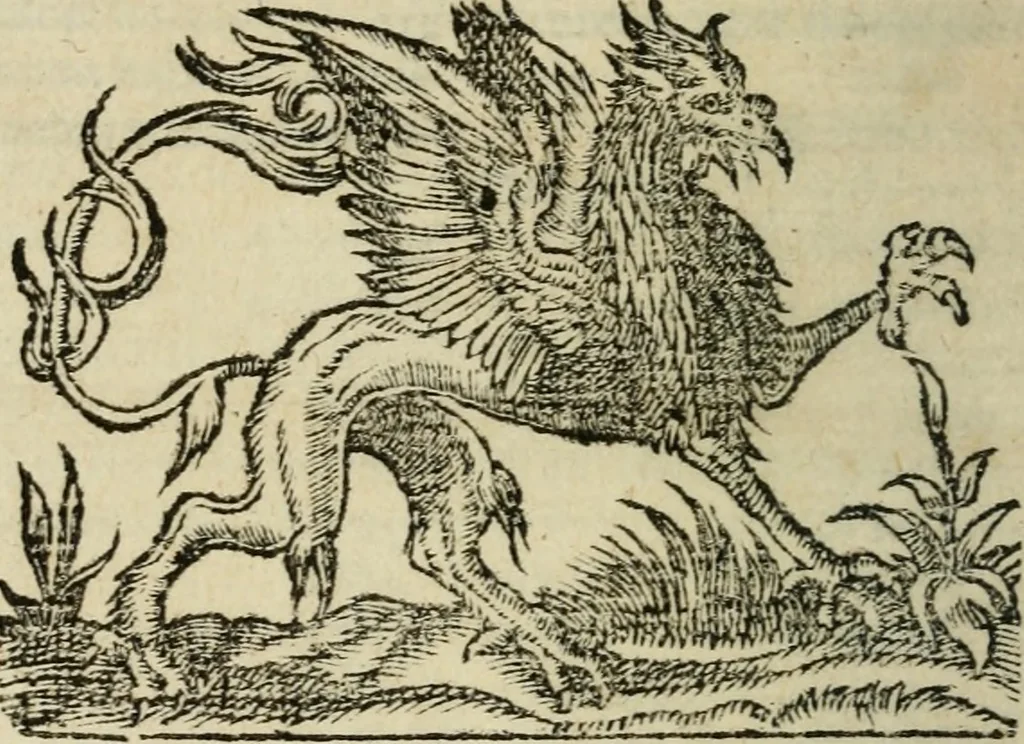 An illustration from Aresta amorum, accuratissimis Benedicti Curtii Symphoriani commentarius ad utriusque juris rationem, forensiumque actionum usum, quam acutissime accommodata, 1546, leaf 449