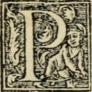 An illustration from Aresta amorum, accuratissimis Benedicti Curtii Symphoriani commentarius ad utriusque juris rationem, forensiumque actionum usum, quam acutissime accommodata, 1546, leaf 53