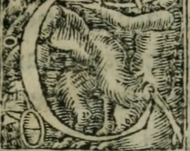 An illustration from Aresta amorum, accuratissimis Benedicti Curtii Symphoriani commentarius ad utriusque juris rationem, forensiumque actionum usum, quam acutissime accommodata, 1546, leaf 6