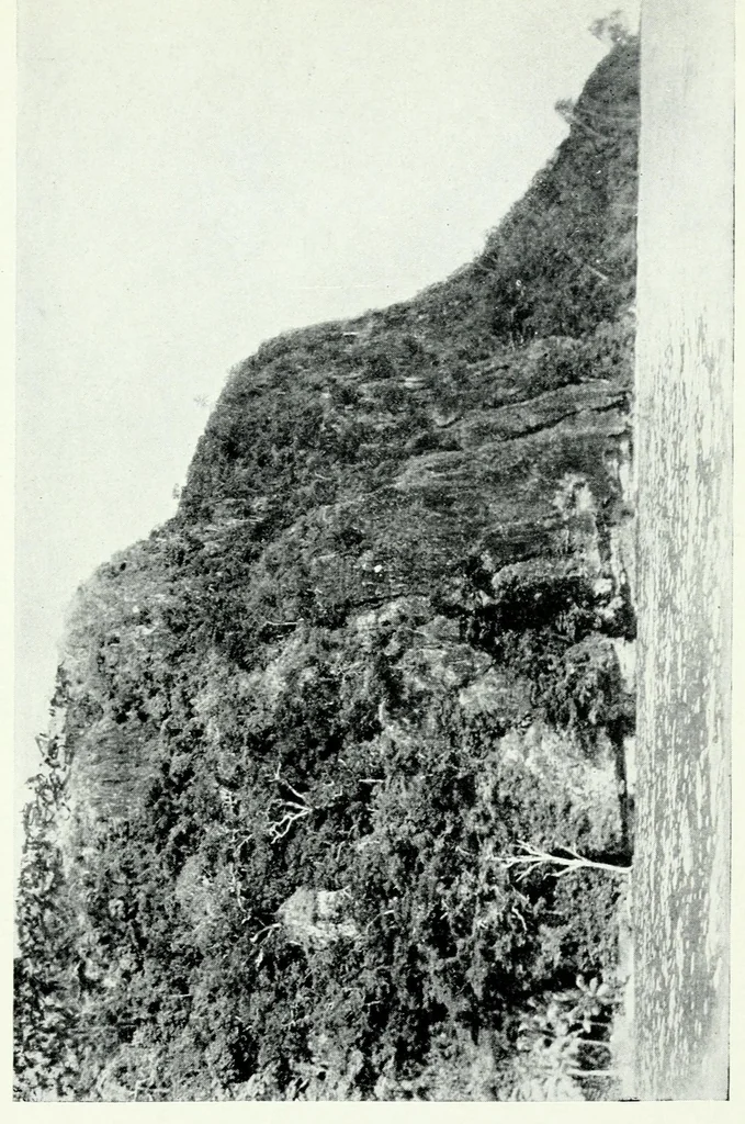 An illustration from Argonauts of the western Pacific; an account of native enterprise and adventure in the Archipelagoes of Melanesian New Guinea. With a pref. by Sir James George Frazer, 1922, leaf 357