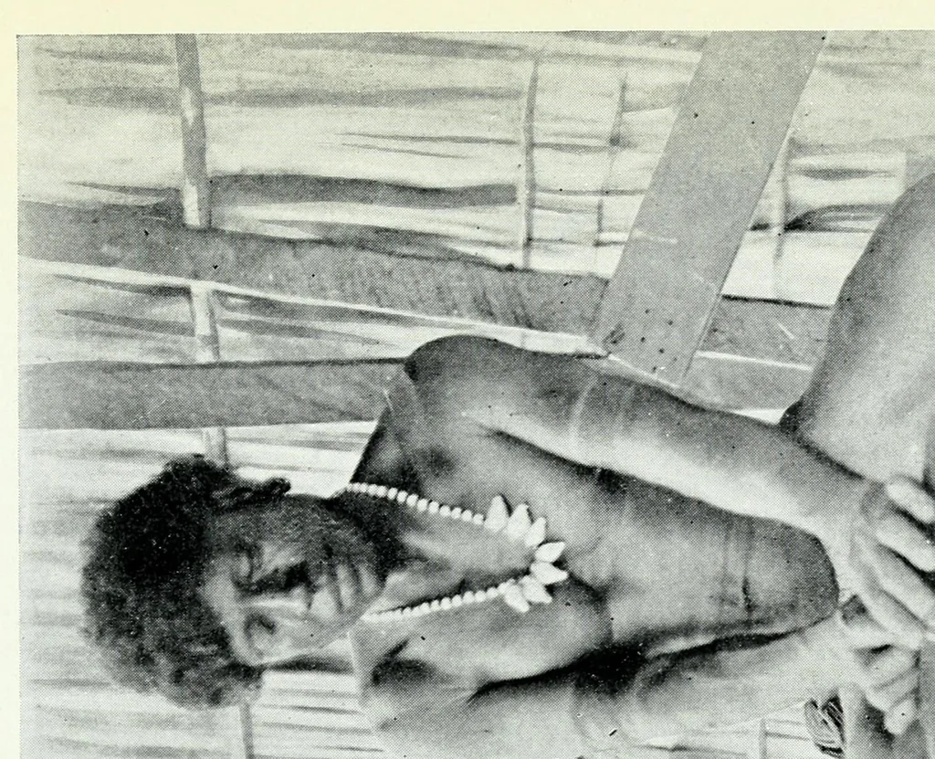 An illustration from Argonauts of the western Pacific; an account of native enterprise and adventure in the Archipelagoes of Melanesian New Guinea. With a pref. by Sir James George Frazer, 1922, leaf 463