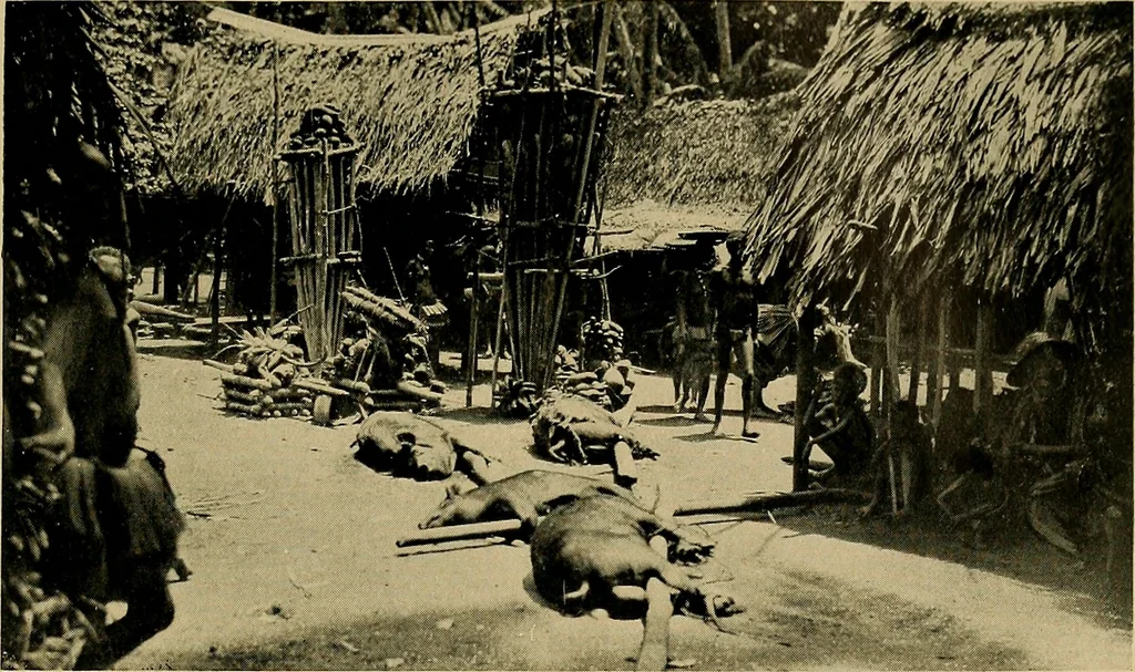 An illustration from Argonauts of the western Pacific; an account of native enterprise and adventure in the archipelagoes of Melanesian New Guinea, 1922, leaf 238