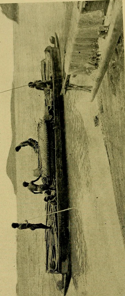 An illustration from Argonauts of the western Pacific; an account of native enterprise and adventure in the archipelagoes of Melanesian New Guinea, 1922, leaf 267
