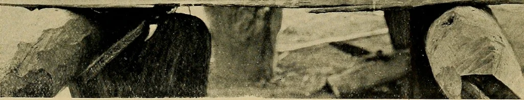 An illustration from Argonauts of the western Pacific; an account of native enterprise and adventure in the archipelagoes of Melanesian New Guinea, 1922, leaf 456