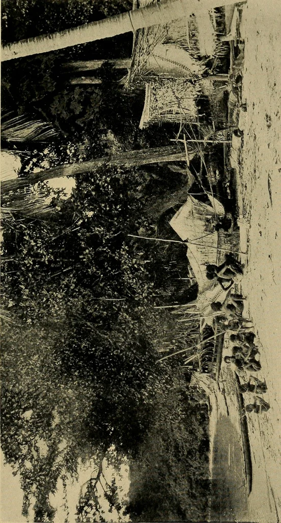 An illustration from Argonauts of the western Pacific; an account of native enterprise and adventure in the archipelagoes of Melanesian New Guinea, 1922, leaf 462