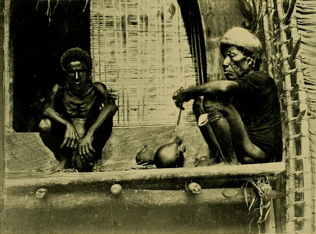 An illustration from Argonauts of the western Pacific; an account of native enterprise and adventure in the archipelagoes of Melanesian New Guinea, 1922, leaf 477