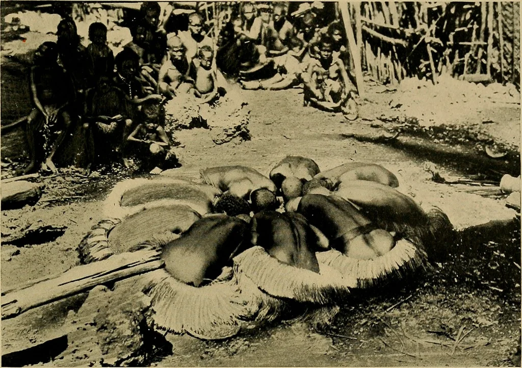 An illustration from Argonauts of the western Pacific; an account of native enterprise and adventure in the archipelagoes of Melanesian New Guinea, 1922, leaf 496