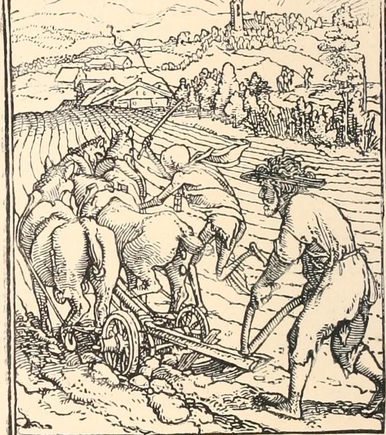 An illustration from Ariadne florentina. Six lectures on wood and metal engraving, 1904, leaf 107