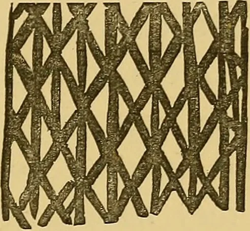 An illustration from Ariadne florentina; six lectures on wood and metal engraving, with appendix; given before the University of Oxford in Michaelmas term, 1872., 1892, leaf 122