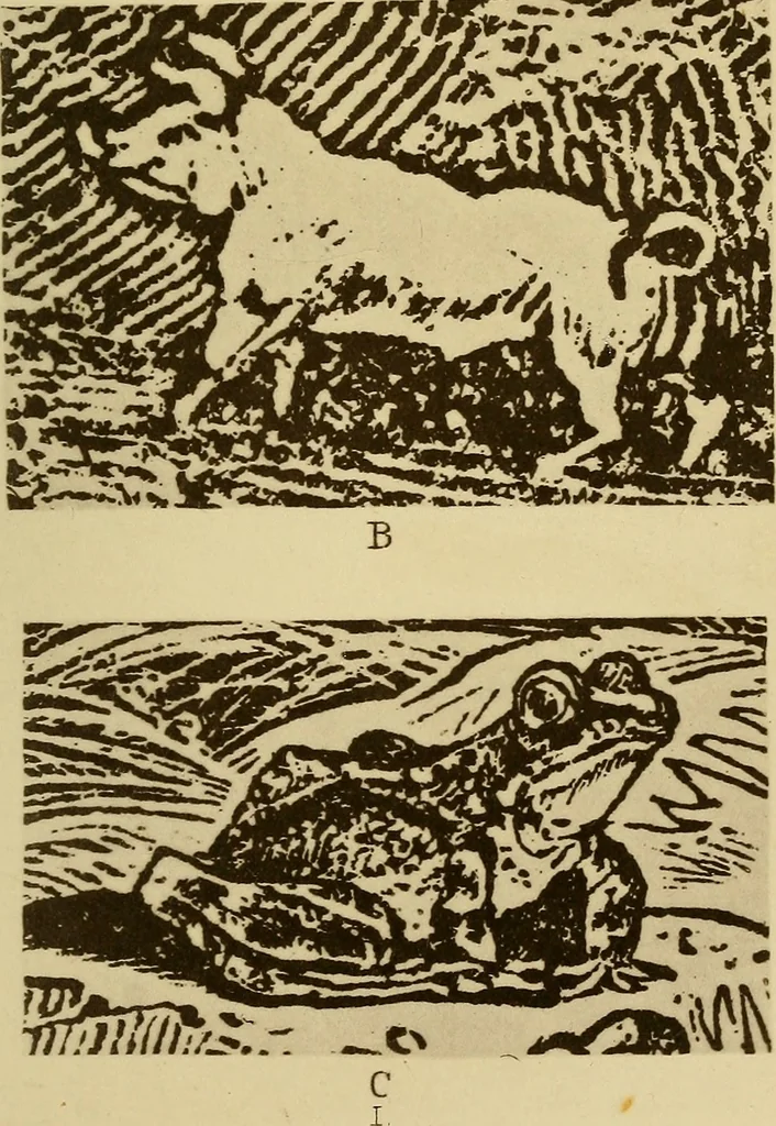 An illustration from Ariadne florentina; six lectures on wood and metal engraving, with appendix; given before the University of Oxford in Michaelmas term, 1872., 1892, leaf 130