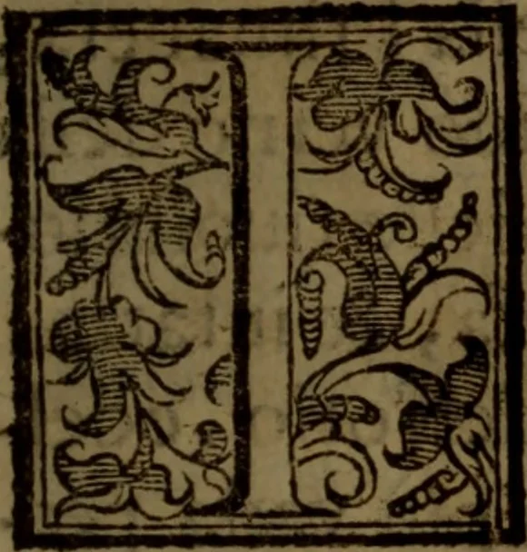 An illustration from Aristocratia conservata, ouero, Del decemvirato di Lesbo : libri quattro, 1634, leaf 136