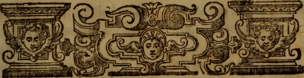 An illustration from Aristocratia conservata, ouero, Del decemvirato di Lesbo : libri quattro, 1634, leaf 256