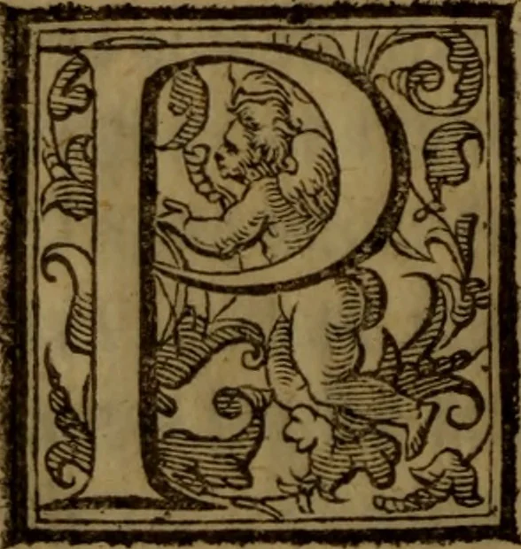 An illustration from Aristocratia conservata, ouero, Del decemvirato di Lesbo : libri quattro, 1634, leaf 91