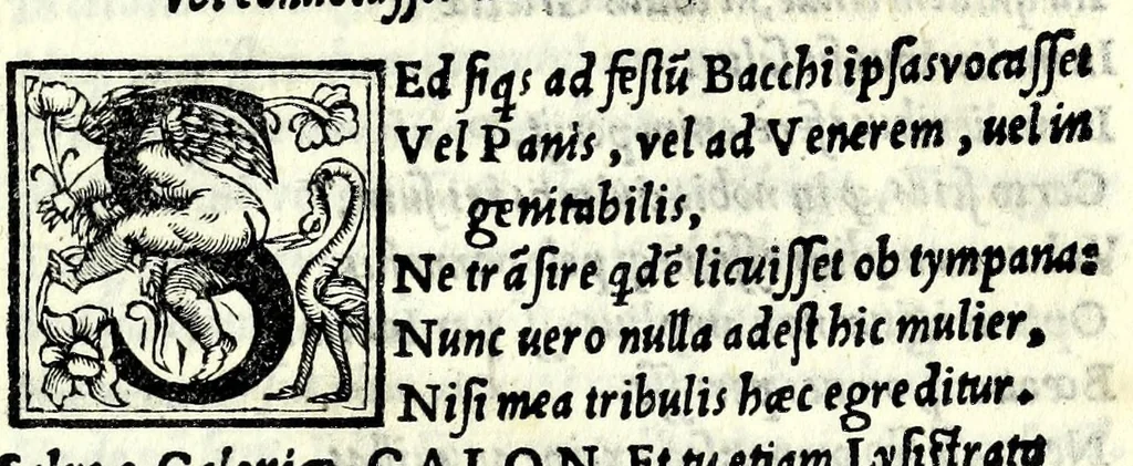 An illustration from Aristophanis comicorum prinicipis Comoediae vndecim, è graeco in latinum, ad verbu[m], translatae, 1542, leaf 481