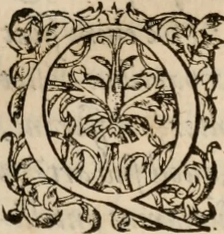 An illustration from Aristotelis De reip. bene administrandae ratione : libri octo, 1567, leaf 16