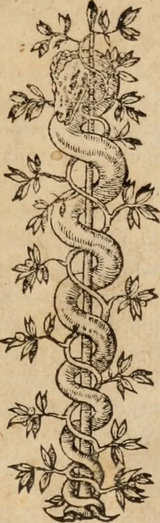 An illustration from Aristotelis De reip. bene administrandae ratione : libri octo, 1567, leaf 4