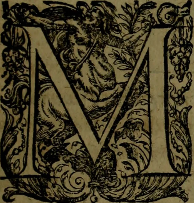 An illustration from Aristotelis Ethicorvm Nicomachiorum paraphrasis, 1607, leaf 320