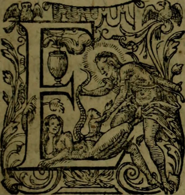 An illustration from Aristotelis Ethicorvm Nicomachiorum paraphrasis, 1607, leaf 362