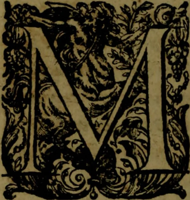 An illustration from Aristotelis Ethicorvm Nicomachiorum paraphrasis, 1607, leaf 401