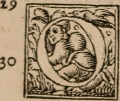An illustration from Aristotelis Stagiritæ ... Ethicorum ad Nicomachum libri decem, 1560, leaf 173