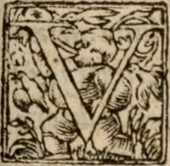 An illustration from Aristotelis Stagiritæ ... Ethicorum ad Nicomachum libri decem, 1560, leaf 200