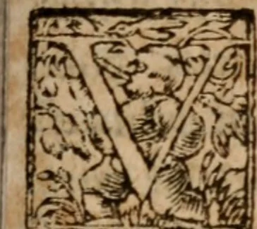 An illustration from Aristotelis Stagiritæ ... Ethicorum ad Nicomachum libri decem, 1560, leaf 404