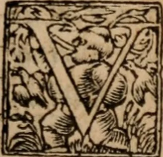 An illustration from Aristotelis Stagiritæ ... Ethicorum ad Nicomachum libri decem, 1560, leaf 718