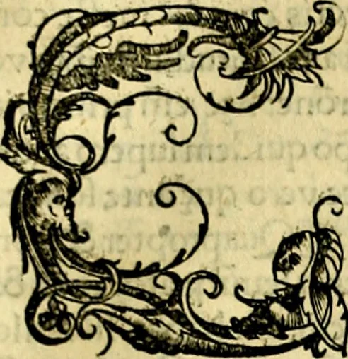 An illustration from Aristotelis Stagyritae Libri de Coelo IIII, 1519, leaf 268