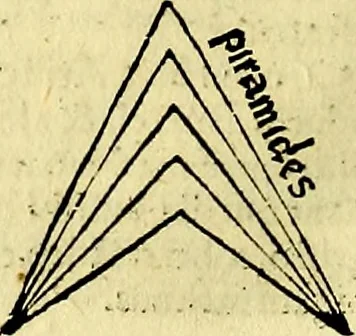 An illustration from Aristotelis Stagyritae Libri de Coelo IIII, 1519, leaf 459
