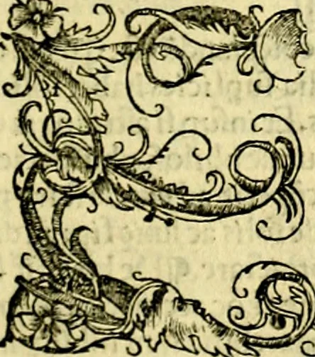 An illustration from Aristotelis Stagyritae Libri de Coelo IIII, 1519, leaf 54