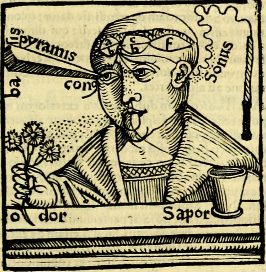 An illustration from Aristotelis Stagyritae Libri de Coelo IIII, 1519, leaf 558