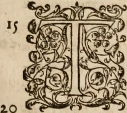 An illustration from Aristotelous ēthikōn Nikomacheiōn biblia deka. Ethicorvm; sive, De moribvs, ad Nicomachvm libri decem. Opera Petri Victorij amendati.., 1584, leaf 48