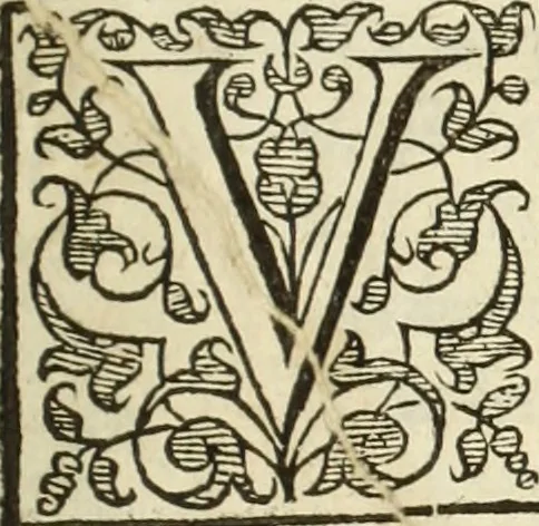 An illustration from Arithmetica Logarithimica, 1624, leaf 8