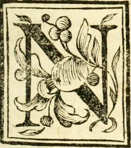 An illustration from Aritmetica pratica, 1765, leaf 116