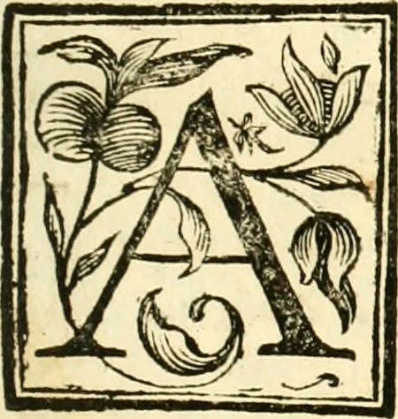 An illustration from Aritmetica pratica, 1765, leaf 12