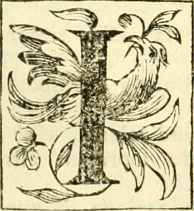 An illustration from Aritmetica pratica, 1765, leaf 186