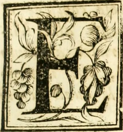 An illustration from Aritmetica pratica, 1765, leaf 6