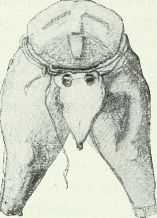 An illustration from Arktiske skinddragter i Eurasien og Amerika; en etnografisk studie, 1914, leaf 149