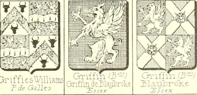 An illustration from Armoiries des familles contenues dans l'Armorial général de J.B. Rieststap [sic], 1903, leaf 198
