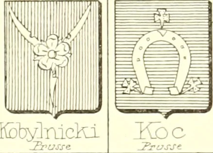 An illustration from Armoiries des familles contenues dans l'Armorial général de J.B. Rieststap [sic], 1903, leaf 676