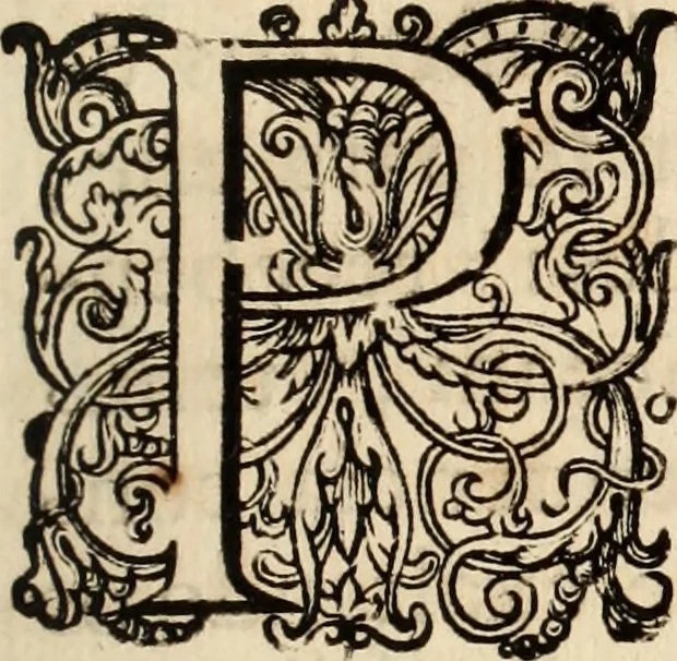 An illustration from Armonia politica dos documentos divinos com as conveniencias d'estado : exemplar de principes no governo dos gloriosissimos reys de Portugal, 1651, leaf 24