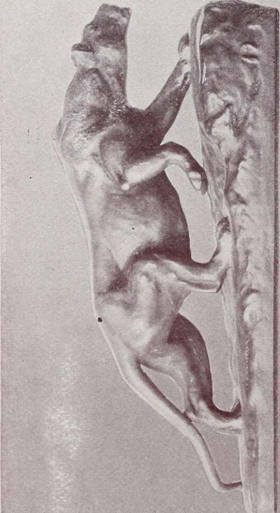 An illustration from Armor bronze : artistic and ideal gifts in book ends, door stops, art objects, table and floor lamps, 1900, leaf 27